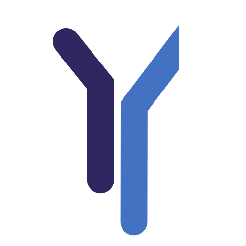 Logo2